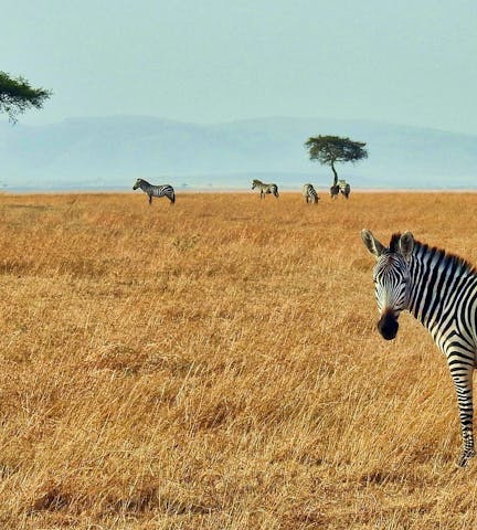 Les meilleurs coliving à Afrique